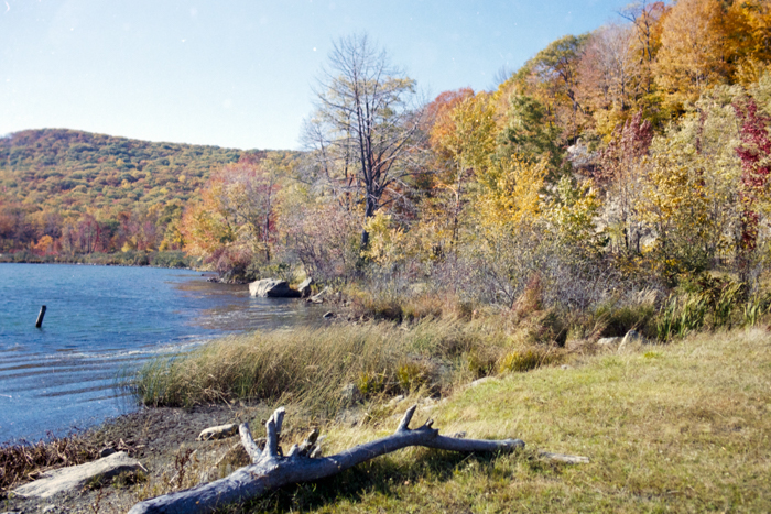 minerva_deak_f_c4_s2_126_boston_008