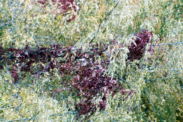 minerva_deak_f_c4_s2_126_boston_009