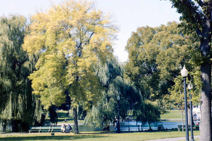 minerva_deak_f_c4_s2_126_boston_015