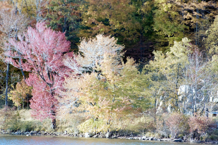 minerva_deak_f_c4_s2_130_1980_dec_samuék_030