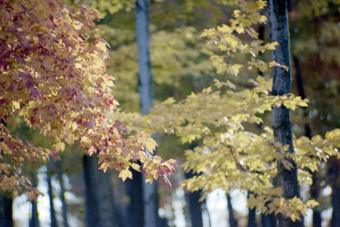 minerva_deak_f_c4_s2_130_1980_dec_samuék_034