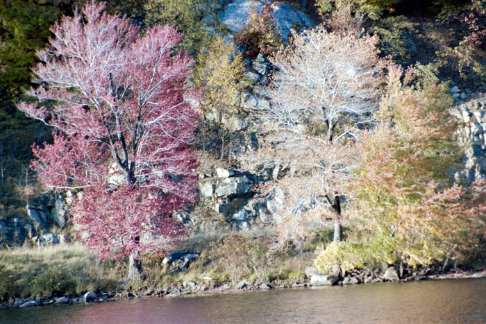 minerva_deak_f_c4_s2_130_1980_dec_samuék_037