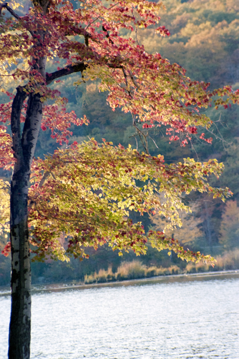 minerva_deak_f_c4_s2_130_1980_dec_samuék_038