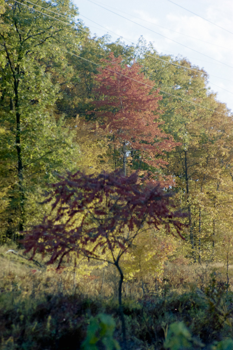 minerva_deak_f_c4_s2_130_1980_dec_samuék_039