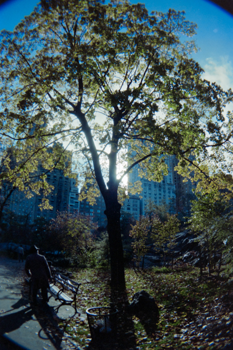 minerva_deak_f_c4_s2_144_1981_manhattan_022