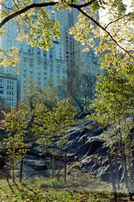 minerva_deak_f_c4_s2_144_1981_manhattan_024