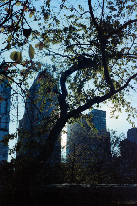 minerva_deak_f_c4_s2_144_1981_manhattan_028