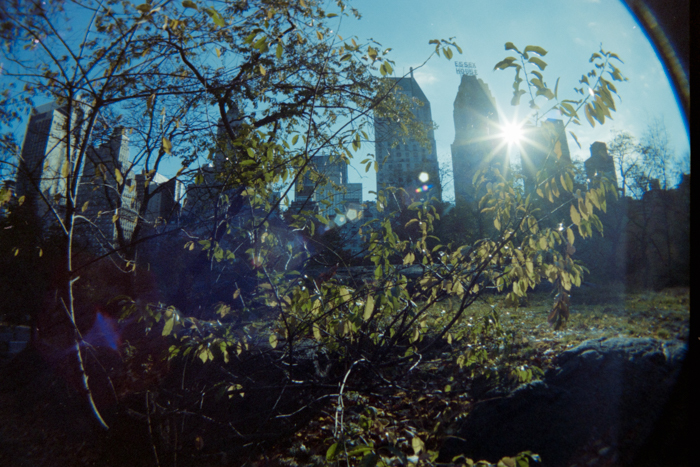 minerva_deak_f_c4_s2_144_1981_manhattan_029