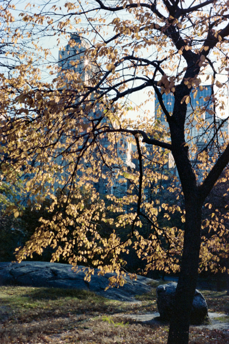 minerva_deak_f_c4_s2_144_1981_manhattan_031