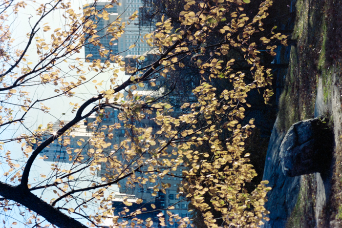 minerva_deak_f_c4_s2_144_1981_manhattan_034