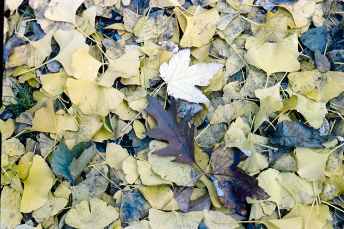 minerva_deak_f_c4_s2_144_1981_manhattan_040