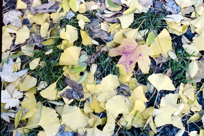 minerva_deak_f_c4_s2_144_1981_manhattan_041