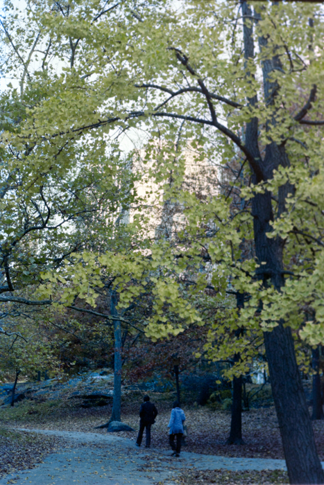 minerva_deak_f_c4_s2_144_1981_manhattan_045