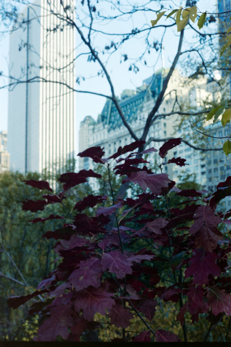 minerva_deak_f_c4_s2_144_1981_manhattan_047