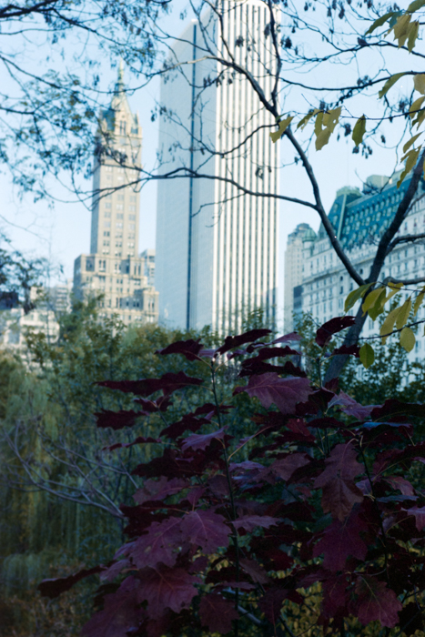 minerva_deak_f_c4_s2_144_1981_manhattan_048