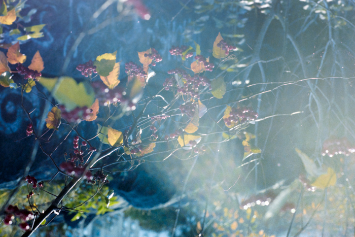 minerva_deak_f_c4_s2_144_1981_manhattan_049