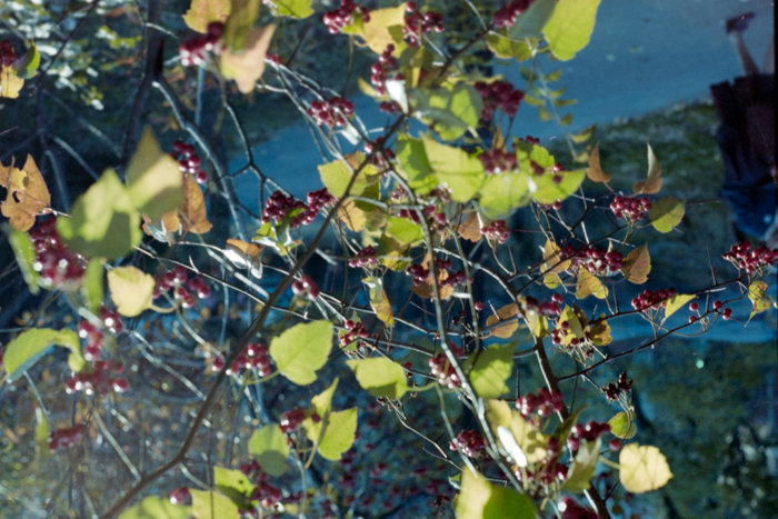 minerva_deak_f_c4_s2_144_1981_manhattan_050