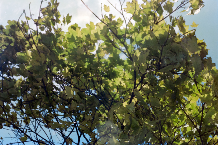 minerva_deak_f_c4_s2_144_1981_manhattan_055