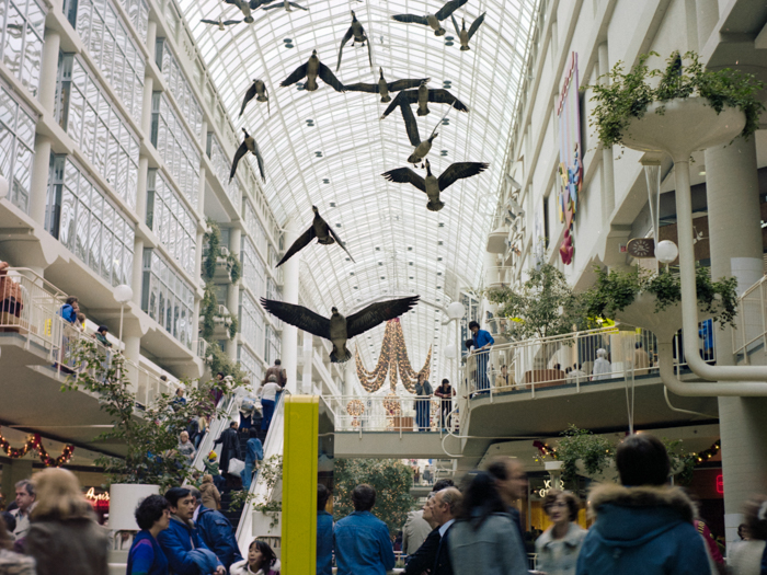 minerva_deak_f_c4_s2_146_toronto_niagara_008