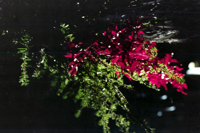 minerva_deak_f_c4_s3_177_dec_teleky_geza_005