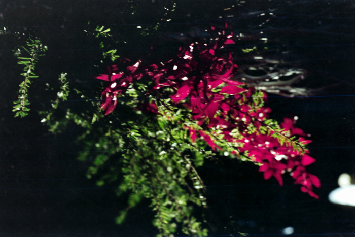 minerva_deak_f_c4_s3_177_dec_teleky_geza_006