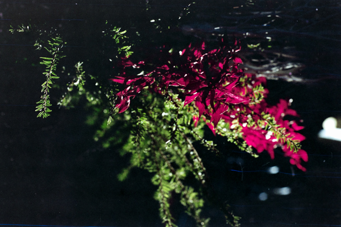 minerva_deak_f_c4_s3_177_dec_teleky_geza_007