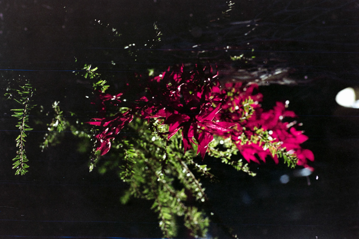 minerva_deak_f_c4_s3_177_dec_teleky_geza_008