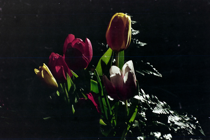 minerva_deak_f_c4_s3_177_dec_teleky_geza_010