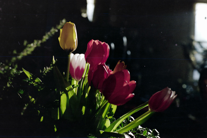 minerva_deak_f_c4_s3_177_dec_teleky_geza_011