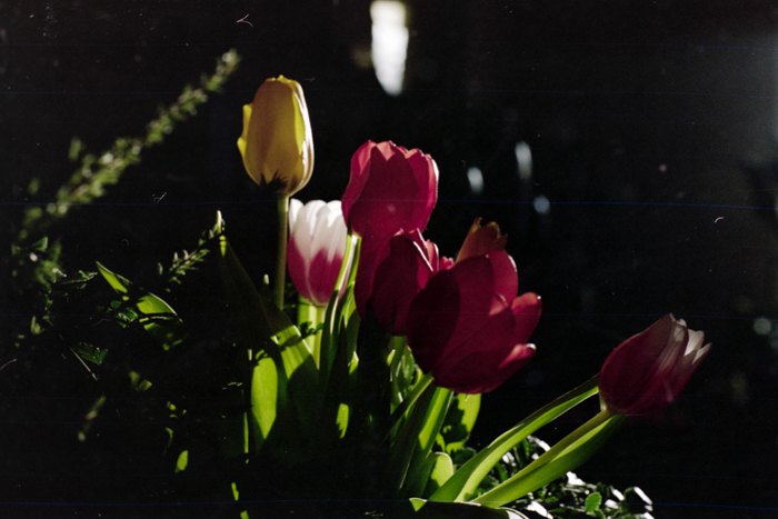 minerva_deak_f_c4_s3_177_dec_teleky_geza_012