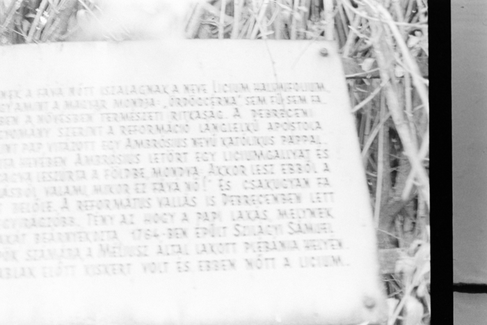 minerva_deak_f_c4_s3_376_nagy_istvan_023