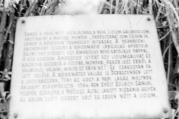 minerva_deak_f_c4_s3_376_nagy_istvan_024