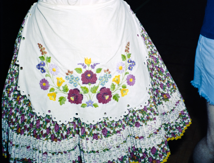 minerva_deak_f_c5_s1_195_madison_hafc_symposion_1982-004