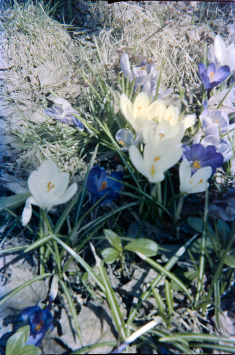 minerva_deak_f_c5_s1_207_viragok_1984_monika-004