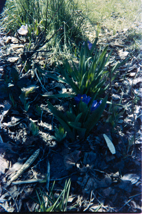 minerva_deak_f_c5_s1_207_viragok_1984_monika-009