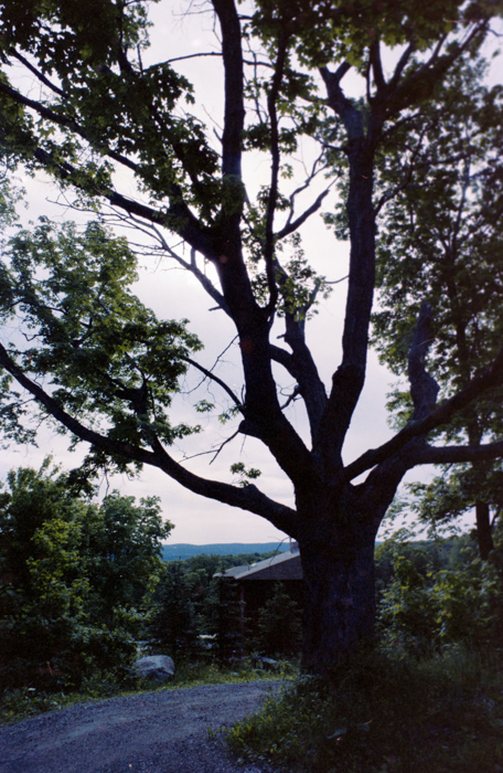 minerva_deak_f_c5_s1_211_elekes_feri_1984-005