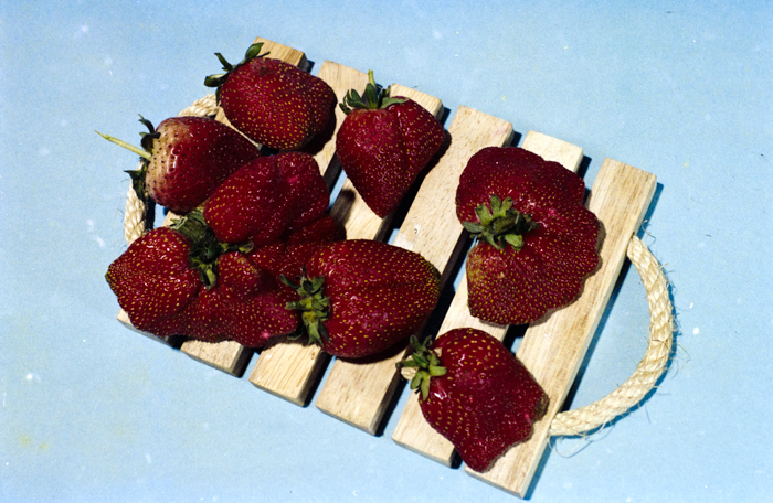 minerva_deak_f_c5_s1_212_tojasok_1984-003