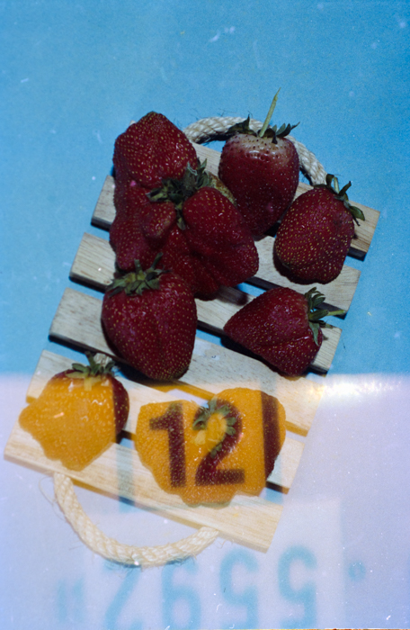 minerva_deak_f_c5_s1_212_tojasok_1984-004