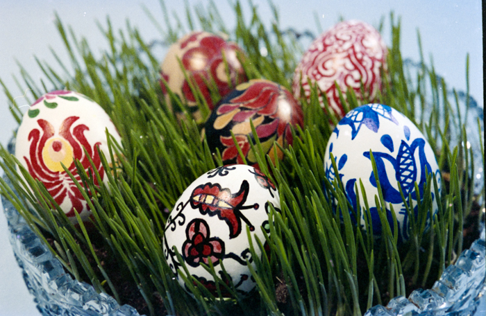 minerva_deak_f_c5_s1_212_tojasok_1984-009