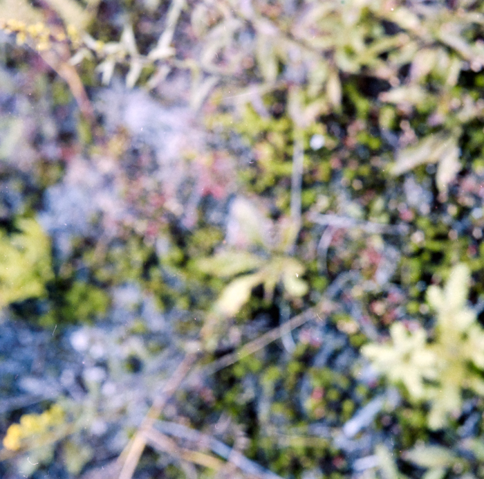 minerva_deak_f_c5_s1_218_nova_scotia_1984_szeptember-001