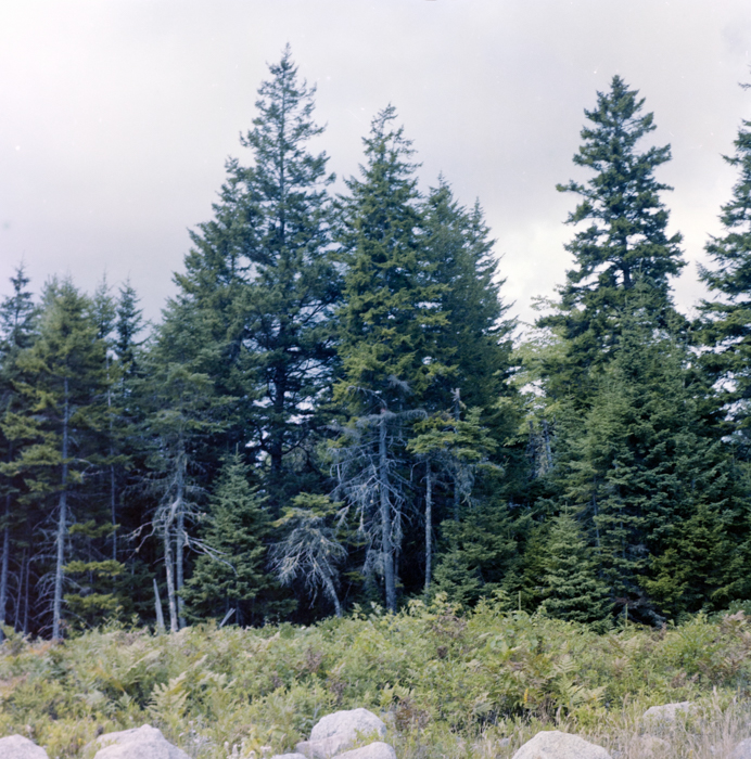 minerva_deak_f_c5_s1_218_nova_scotia_1984_szeptember-008