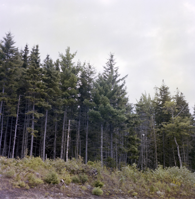 minerva_deak_f_c5_s1_218_nova_scotia_1984_szeptember-009