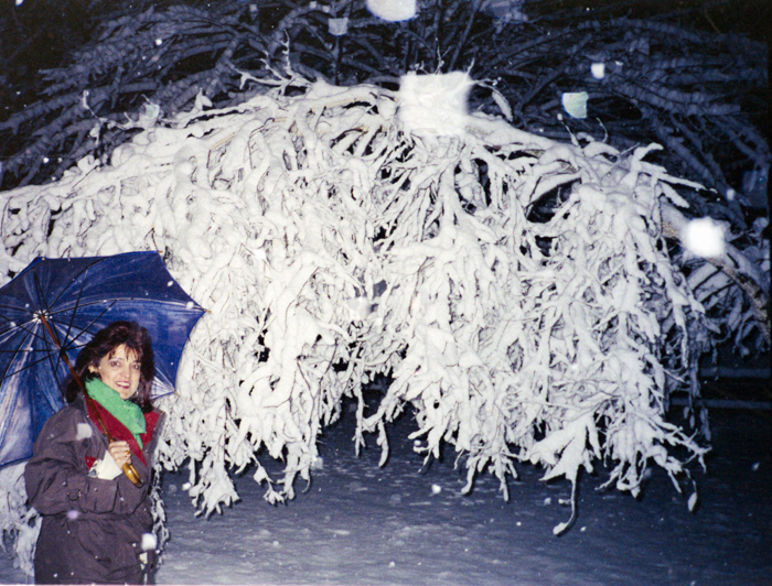 minerva_deak_f_c5_s2_236_tel_1987-88-009