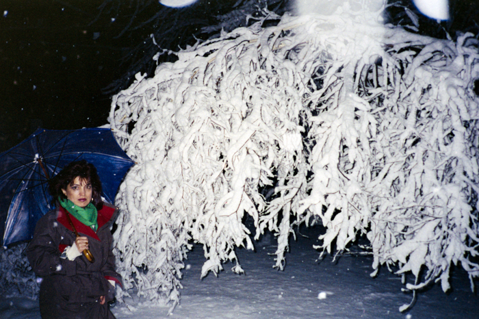 minerva_deak_f_c5_s2_236_tel_1987-88-010