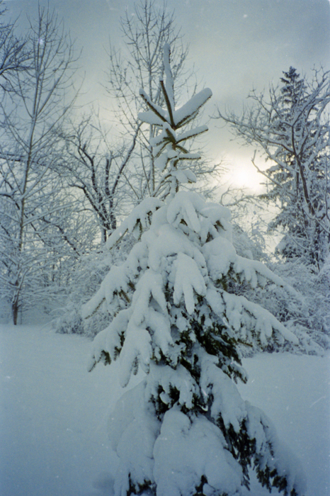 minerva_deak_f_c5_s2_236_tel_1987-88-031