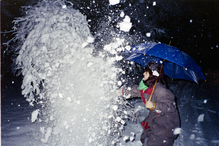 minerva_deak_f_c5_s2_236_tel_1987-88-032