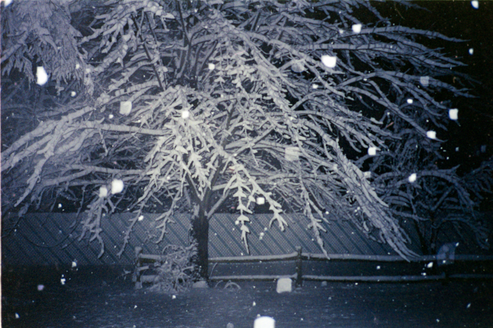 minerva_deak_f_c5_s2_236_tel_1987-88-033