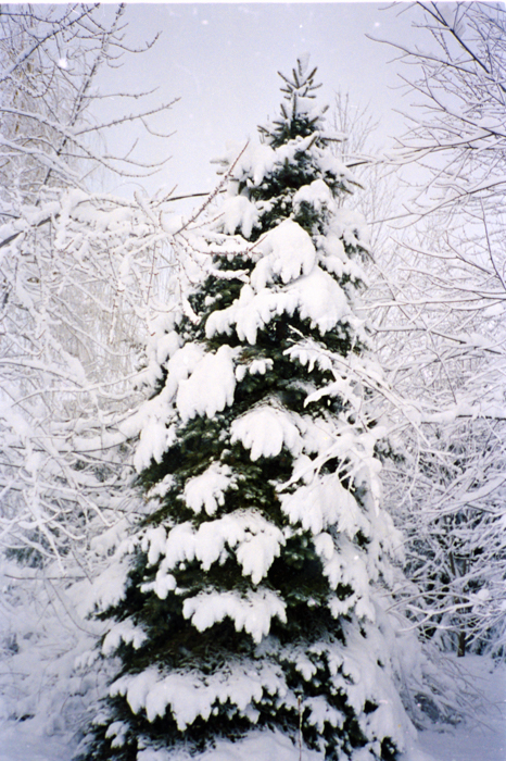 minerva_deak_f_c5_s2_236_tel_1987-88-036