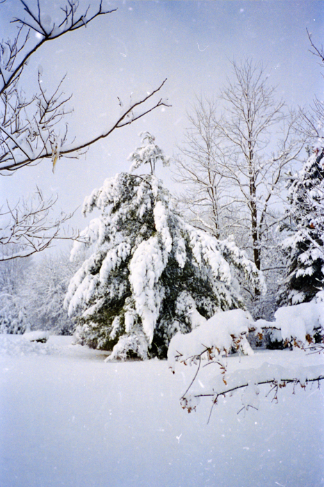 minerva_deak_f_c5_s2_236_tel_1987-88-037