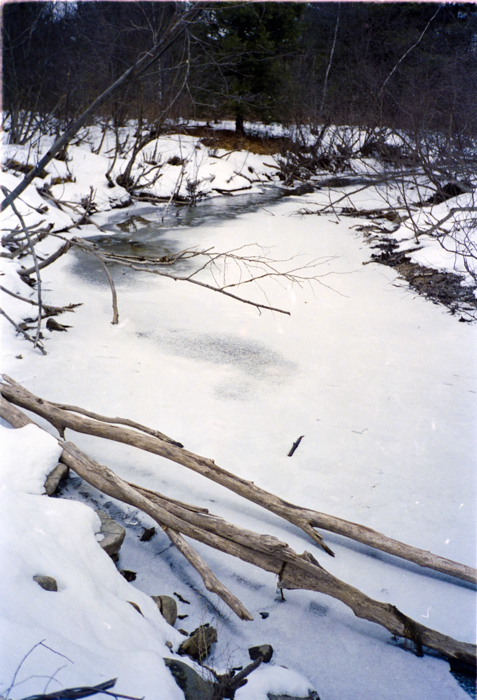 minerva_deak_f_c5_s2_237_loves-023